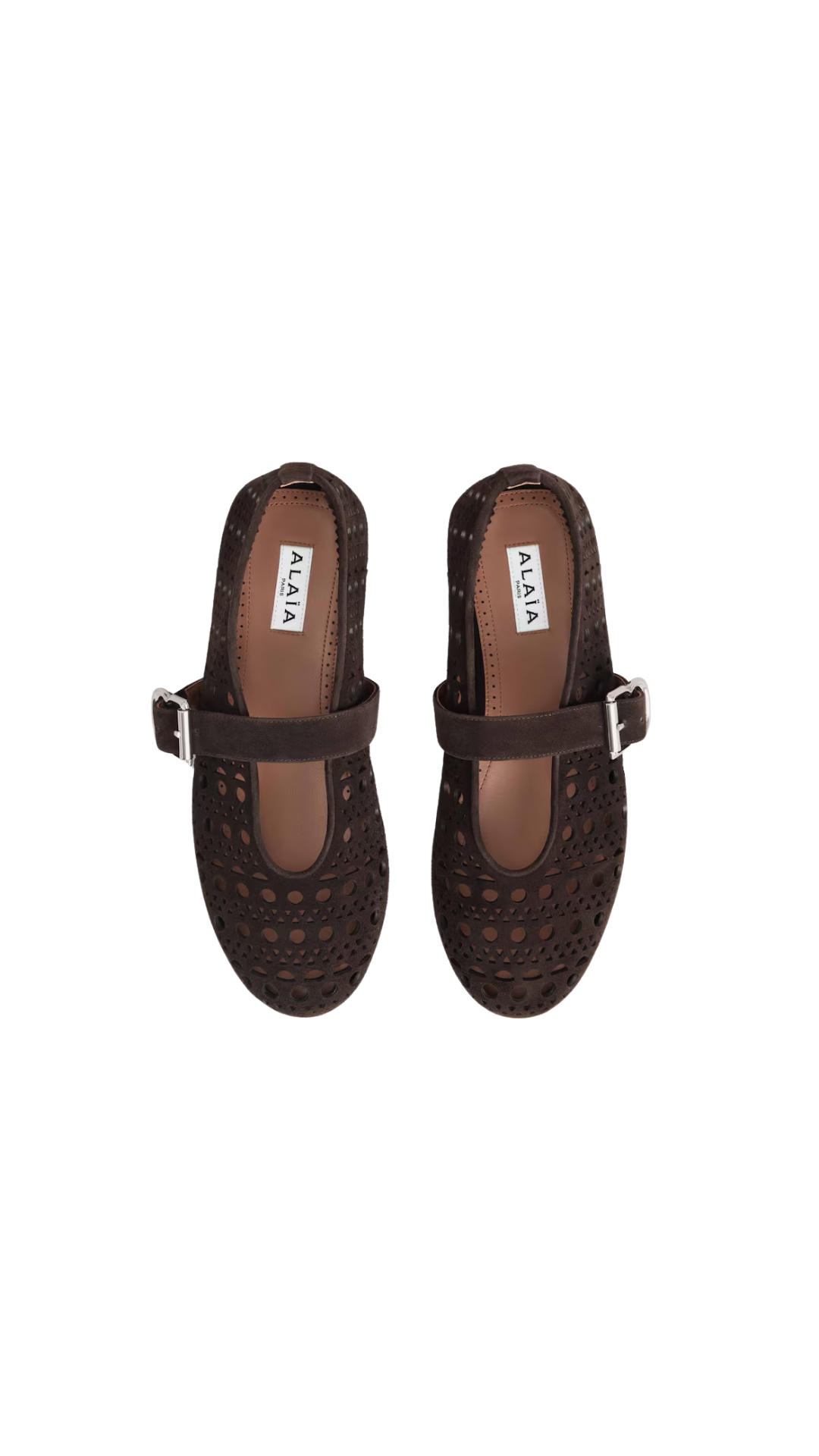 Ballet Flats Vienne In Dark Brown Suede