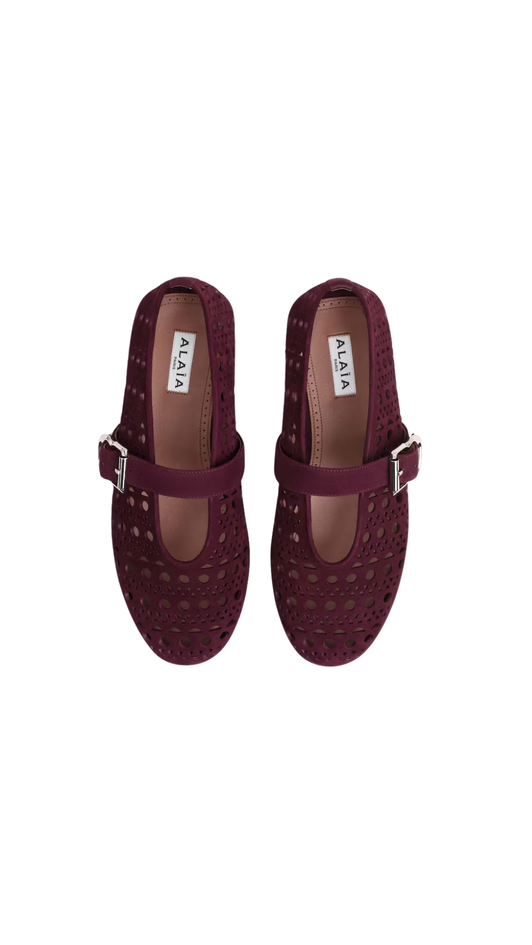 Ballet Flats in Vienne Suede