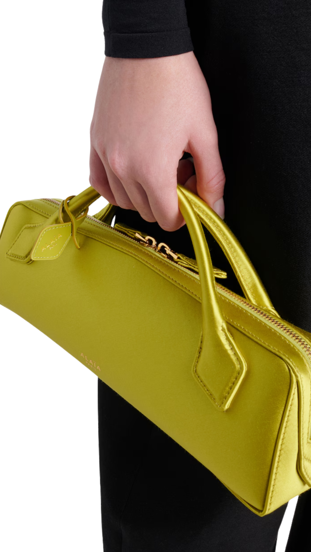 Le Teckel Clutch in Green
